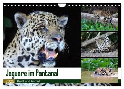Jaguare im Pantanal (Wandkalender 2025 DIN A4 quer), CALVENDO Monatskalender - Calvendo;und Michael Herzog, Yvonne