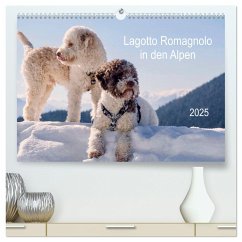 Lagotto Romagnolo in den Alpen 2025 (hochwertiger Premium Wandkalender 2025 DIN A2 quer), Kunstdruck in Hochglanz