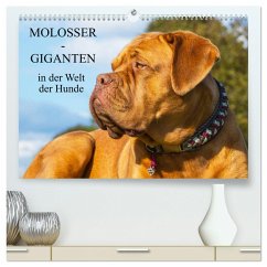 Molosser - Giganten in der Welt der Hunde (hochwertiger Premium Wandkalender 2025 DIN A2 quer), Kunstdruck in Hochglanz - Calvendo;Starick, Sigrid