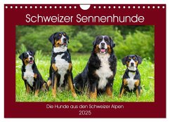 Schweizer Sennenhunde - die Hunde aus den Schweizer Alpen (Wandkalender 2025 DIN A4 quer), CALVENDO Monatskalender