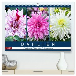 Dahlien - Prachtvolle Blüten des Spätsommers (hochwertiger Premium Wandkalender 2025 DIN A2 quer), Kunstdruck in Hochglanz - Calvendo;Meyer, Dieter