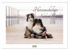 Herzensshelties - Shetland Sheepdogs (Wandkalender 2025 DIN A3 quer), CALVENDO Monatskalender - Calvendo;Kudla, Madlen