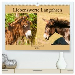 Liebenswerte Langohren - Die Schönheit der Esel (hochwertiger Premium Wandkalender 2025 DIN A2 quer), Kunstdruck in Hochglanz - Calvendo;Bölts, Meike