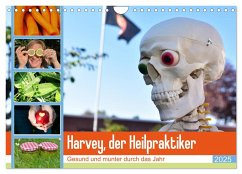Harvey, der Heilpraktiker (Wandkalender 2025 DIN A4 quer), CALVENDO Monatskalender - Calvendo;Jordan, Diane