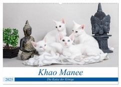 Khao Manee - Die Katze der Könige (Wandkalender 2025 DIN A2 quer), CALVENDO Monatskalender