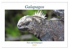 Galapagos 2025 - Tiere auf Galapagos (Wandkalender 2025 DIN A3 quer), CALVENDO Monatskalender - Calvendo;Biebeler, Ralf