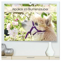 Alpakas im Blumenzauber (hochwertiger Premium Wandkalender 2025 DIN A2 quer), Kunstdruck in Hochglanz - Calvendo;Rentschler, Heidi