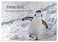 Antarktis, die eisige Heimat der Pinguine (Tischkalender 2025 DIN A5 quer), CALVENDO Monatskalender - Calvendo;Junio, Michèle