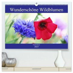 Wunderschöne Wildblumen (hochwertiger Premium Wandkalender 2025 DIN A2 quer), Kunstdruck in Hochglanz - Calvendo;Kruse, Gisela