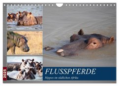 Hippos im südlichen Afrika (Wandkalender 2025 DIN A4 quer), CALVENDO Monatskalender