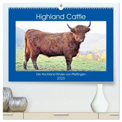 Highland Cattle, die Hochlandrinder aus Pfeffingen (hochwertiger Premium Wandkalender 2025 DIN A2 quer), Kunstdruck in Hochglanz - Calvendo;Geiger, Günther