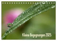 Kleine Begegnungen (Tischkalender 2025 DIN A5 quer), CALVENDO Monatskalender