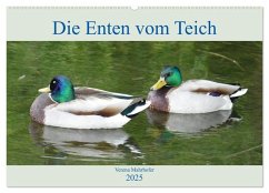 Die Enten vom Teich (Wandkalender 2025 DIN A2 quer), CALVENDO Monatskalender - Calvendo;Mahrhofer, Verena