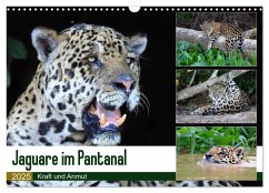 Jaguare im Pantanal (Wandkalender 2025 DIN A3 quer), CALVENDO Monatskalender - Calvendo;und Michael Herzog, Yvonne