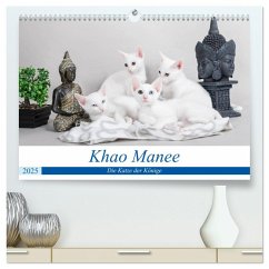 Khao Manee - Die Katze der Könige (hochwertiger Premium Wandkalender 2025 DIN A2 quer), Kunstdruck in Hochglanz