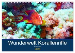 Wunderwelt Korallenriffe (Wandkalender 2025 DIN A3 quer), CALVENDO Monatskalender - Calvendo;Heß, Andrea