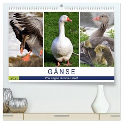 Gänse. Von wegen dumme Gans! (hochwertiger Premium Wandkalender 2025 DIN A2 quer), Kunstdruck in Hochglanz