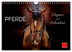 Eleganz und Schönheit - Pferde (Wandkalender 2025 DIN A4 quer), CALVENDO Monatskalender - Calvendo;Roder, Peter