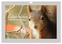 Eichhörnchen - Süße Nussknacker (Wandkalender 2025 DIN A4 quer), CALVENDO Monatskalender - Calvendo;Fofino