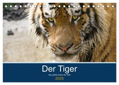Der Tiger - die größte Katze der Welt (Tischkalender 2025 DIN A5 quer), CALVENDO Monatskalender - Calvendo;the Snow Leopard, Cloudtail