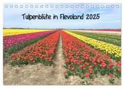 Tulpenblüte in Flevoland 2025 (Tischkalender 2025 DIN A5 quer), CALVENDO Monatskalender - Calvendo;Konkel, Christine