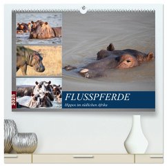 Hippos im südlichen Afrika (hochwertiger Premium Wandkalender 2025 DIN A2 quer), Kunstdruck in Hochglanz - Calvendo;Quentin, Udo