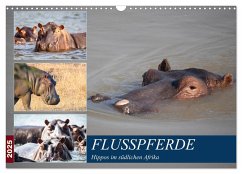 Hippos im südlichen Afrika (Wandkalender 2025 DIN A3 quer), CALVENDO Monatskalender