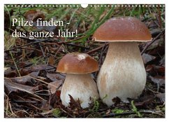 Pilze finden - das ganze Jahr! (Wandkalender 2025 DIN A3 quer), CALVENDO Monatskalender