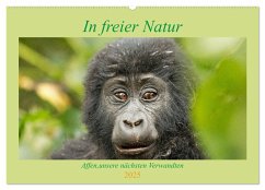 In freier Natur Affen, unsere nächsten Verwandten (Wandkalender 2025 DIN A2 quer), CALVENDO Monatskalender - Calvendo;Kärcher, Britta