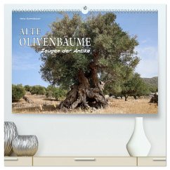 ALTE OLIVENBÄUME Zeugen der Antike (hochwertiger Premium Wandkalender 2025 DIN A2 quer), Kunstdruck in Hochglanz