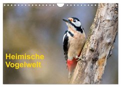 Heimische Vogelwelt (Wandkalender 2025 DIN A4 quer), CALVENDO Monatskalender