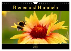 Bienen und Hummeln in Aktion (Wandkalender 2025 DIN A4 quer), CALVENDO Monatskalender - Calvendo;Krisma