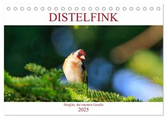 Distelfink (Tischkalender 2025 DIN A5 quer), CALVENDO Monatskalender