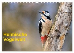 Heimische Vogelwelt (Wandkalender 2025 DIN A3 quer), CALVENDO Monatskalender - Calvendo;Käfer, Gerhard