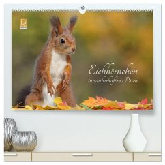 Eichhörnchen in zauberhaften Posen (hochwertiger Premium Wandkalender 2025 DIN A2 quer), Kunstdruck in Hochglanz