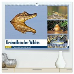 Krokodile in der Wildnis (hochwertiger Premium Wandkalender 2025 DIN A2 quer), Kunstdruck in Hochglanz