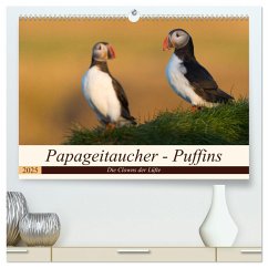 Papageitaucher - Puffins (hochwertiger Premium Wandkalender 2025 DIN A2 quer), Kunstdruck in Hochglanz