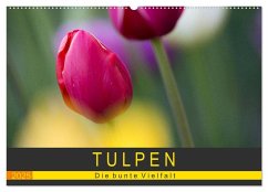 Tulpen - die bunte Vielfalt (Wandkalender 2025 DIN A2 quer), CALVENDO Monatskalender - Calvendo;Schürholz, Peter