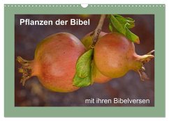 Pflanzen der Bibel (Wandkalender 2025 DIN A3 quer), CALVENDO Monatskalender