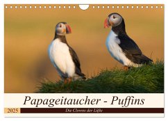 Papageitaucher - Puffins (Wandkalender 2025 DIN A4 quer), CALVENDO Monatskalender