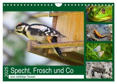 Specht, Frosch und Co - eine vielfältige Tierwelt (Wandkalender 2025 DIN A4 quer), CALVENDO Monatskalender