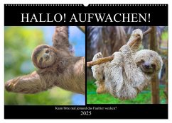 Hallo! Aufwachen! Kann bitte mal jemand das Faultier wecken? (Wandkalender 2025 DIN A2 quer), CALVENDO Monatskalender