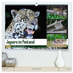 Jaguare im Pantanal (hochwertiger Premium Wandkalender 2025 DIN A2 quer), Kunstdruck in Hochglanz