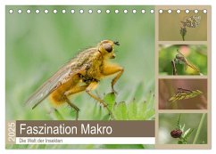 Faszination Makro - Die Welt der Insekten (Tischkalender 2025 DIN A5 quer), CALVENDO Monatskalender
