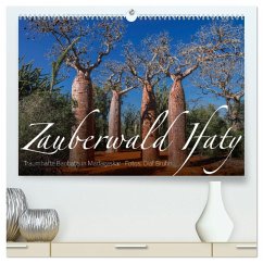 Zauberwald Ifaty · Traumhafte Baobabs in Madagaskar (hochwertiger Premium Wandkalender 2025 DIN A2 quer), Kunstdruck in Hochglanz