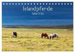 Islandpferde take it Isi (Tischkalender 2025 DIN A5 quer), CALVENDO Monatskalender