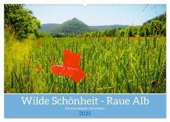 Wilde Schönheit - Raue Alb (Wandkalender 2025 DIN A2 quer), CALVENDO Monatskalender