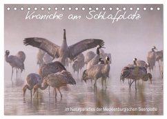 Kraniche am Schlafplatz - im Naturparadies der Mecklenburgischen Seenplatte (Tischkalender 2025 DIN A5 quer), CALVENDO Monatskalender