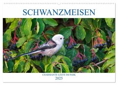 Schwanzmeisen (Wandkalender 2025 DIN A2 quer), CALVENDO Monatskalender