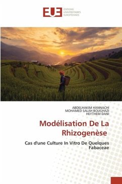 Modélisation De La Rhizogenèse - Hannachi, Abdelhakim;BOUGHAZI, MOHAMED SALAH;DANI, HEYTHEM